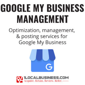 Google My Business Management 1LocalBusiness
